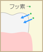 フッ素を塗布すると、フッ素が歯の表面に吸着されます。